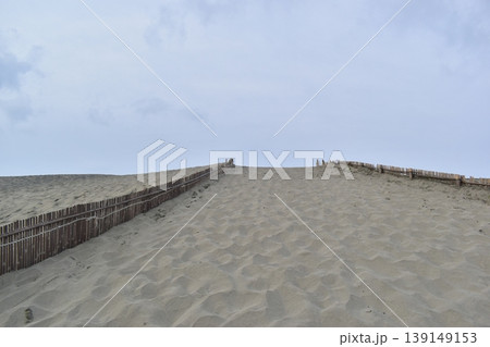 静岡 砂丘 中田島砂丘 観光 旅行 静岡 砂丘 中田島砂丘 観光 旅行 139149153