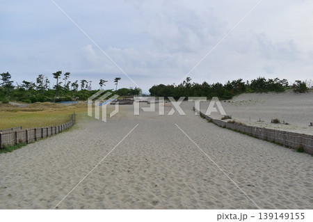 静岡 砂丘 中田島砂丘 観光 旅行 静岡 砂丘 中田島砂丘 観光 旅行 139149155