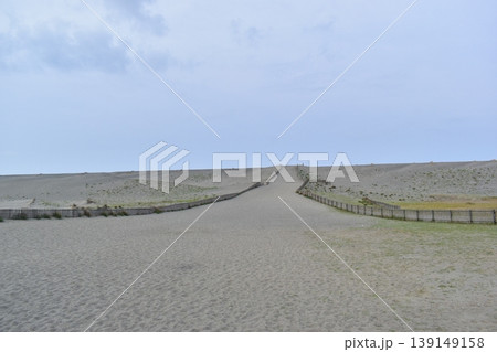 静岡 砂丘 中田島砂丘 観光 旅行 静岡 砂丘 中田島砂丘 観光 旅行 139149158