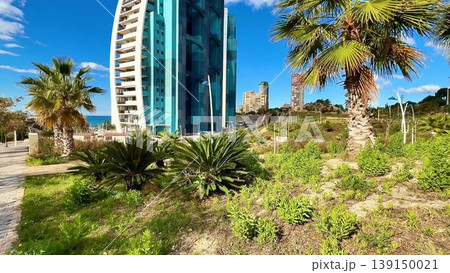 Stunning urban landscape with a tall building and palm trees Stunning urban landscape with a tall building and palm trees 139150021