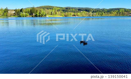 Captivating video of a serene lake, lush trees, and mountains 139150041