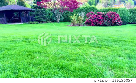 A vibrant lawn with flowers, trees, and a gazebo creates tranquility 139150057