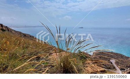 A tranquil journey along a grassy hillside reveals ocean views A tranquil journey along a grassy hillside reveals ocean views 139150060