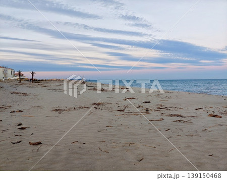 Calm coast landscape featuring distant figures and dispersed seaweed on wet sands under streaked clouds Calm coast landscape featuring distant figures and dispersed seaweed on wet sands under streaked clouds 139150468