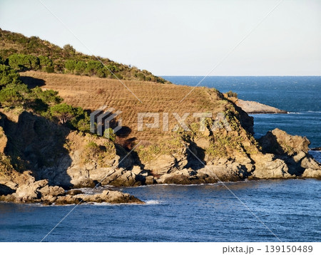 Scenic coastal vineyard. Radiant vineyard terraces on rocky promontory amid vast blue ocean landscape Scenic coastal vineyard. Radiant vineyard terraces on rocky promontory amid vast blue ocean landscape 139150489