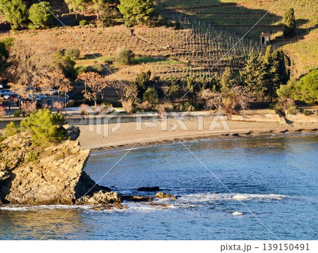 Sundrenched hillside with peaceful harbor. Peaceful bay surrounded by vineyards and rolling hills Sundrenched hillside with peaceful harbor. Peaceful bay surrounded by vineyards and rolling hills 139150491