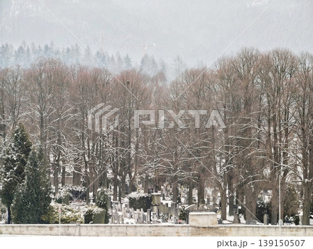 Serene frostcovered park scene. Tranquil icy memorial area with bare trees and subdued atmosphere Serene frostcovered park scene. Tranquil icy memorial area with bare trees and subdued atmosphere 139150507
