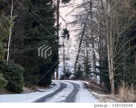 Snowcovered forest road winding gently. Frosty rural trail snaking between trees during winter season Snowcovered forest road winding gently. Frosty rural trail snaking between trees during winter season 139150549