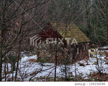 Weathered cabin amid leafless trees. Decay and tranquility in rural scene during seasonal changes 139150590