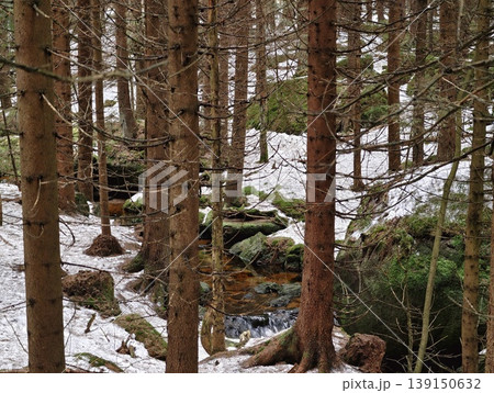 Chilly river snakes among trees. Freezing watercourse twisting among lush evergreen foliage and rocks 139150632