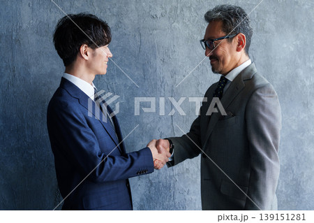 握手をするビジネスパーソン 握手をするビジネスパーソン 139151281