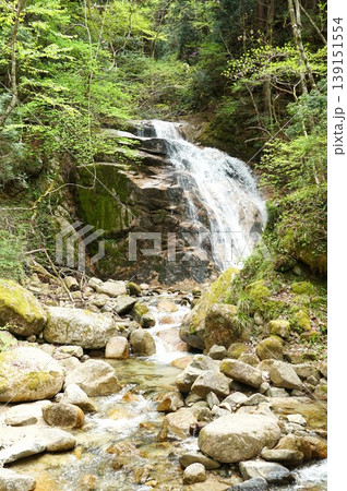 中山道自然歩道 木曾路の男滝 新緑の風景 中山道自然歩道 木曾路の男滝 新緑の風景 139151554