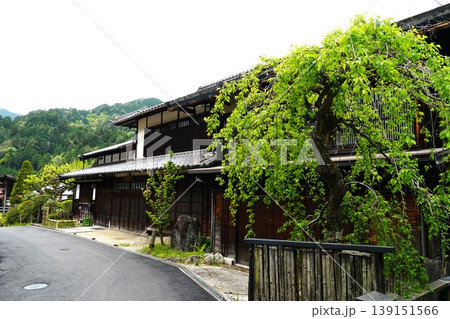 中山道自然歩道　木曾路の妻籠宿　春の風景 139151566