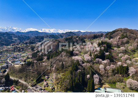 満開の二反田の桜と残雪の白馬連峰 長野県小川村(ドローンによる空撮) 満開の二反田の桜と残雪の白馬連峰 長野県小川村(ドローンによる空撮) 139151748