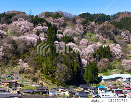 満開の二反田の桜 長野県小川村(ドローンによる空撮) 満開の二反田の桜 長野県小川村(ドローンによる空撮) 139151753