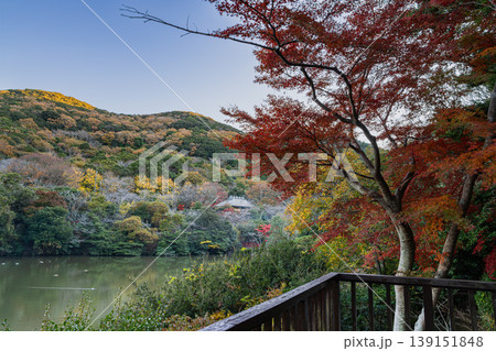 田原市の滝頭公園の紅葉の風景(愛知県) 139151848