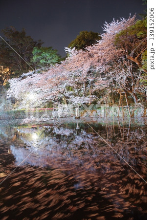 水面に映る夜桜 水面に映る夜桜 139152006