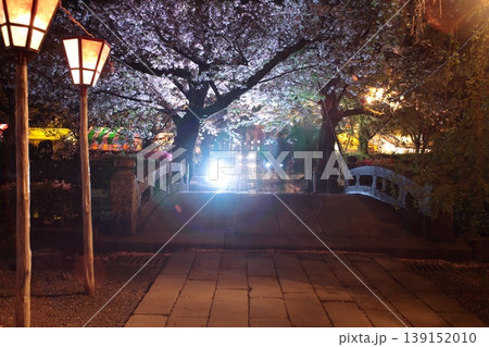 街灯に照らされる桜 139152010