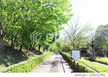 大島小松川公園　風の広場 139152765