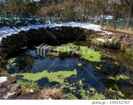 晩秋の小川に流れる水 139152787