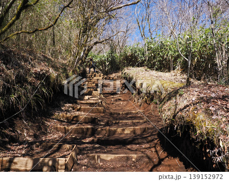 早春の枯れ野風景 早春の枯れ野風景 139152972