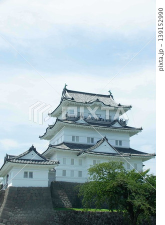 小田原城 小田原城 139152990
