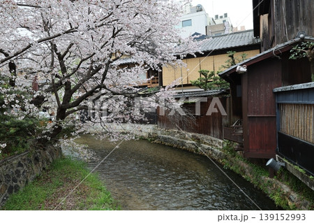 祇園巽橋の町並み2026年4月② 139152993