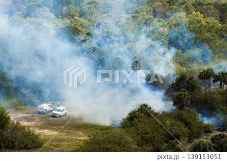 Wildfire sweeps through Florida dry forested area, with firefighters using hoses and tools to control crackling flames and smoke clouds spreading through the tree line 139153051