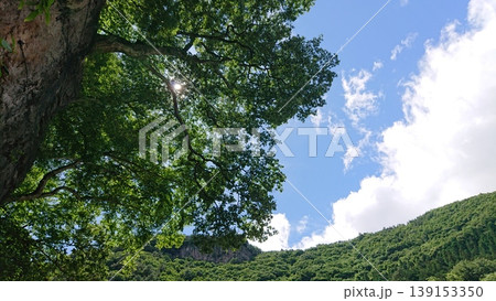 新緑と青空が紡ぐ、心を澄ませる山間の神秘風景 新緑と青空が紡ぐ、心を澄ませる山間の神秘風景 139153350