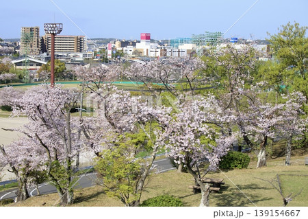 みよし市、三好公園の満開の桜と街並みの遠景 みよし市、三好公園の満開の桜と街並みの遠景 139154667
