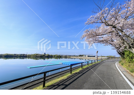 みよし市、三好池と湖畔の満開の桜 みよし市、三好池と湖畔の満開の桜 139154688