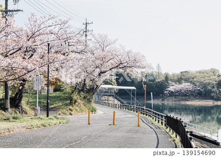 みよし市、三好池と湖畔の満開の桜 みよし市、三好池と湖畔の満開の桜 139154690