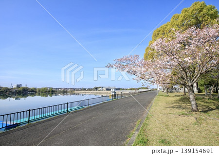 みよし市、三好池と湖畔の満開の桜 みよし市、三好池と湖畔の満開の桜 139154691