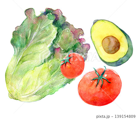 水彩イラスト 野菜サラダ 手描きイラスト 水彩イラスト 野菜サラダ 手描きイラスト 139154809