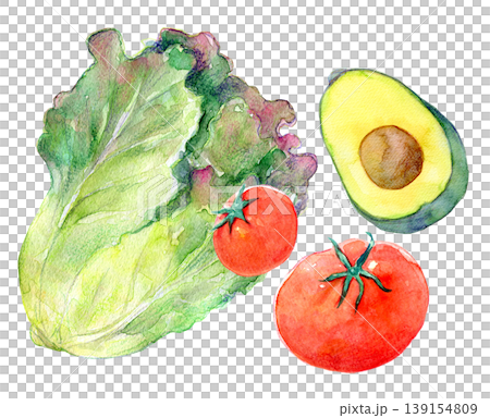 水彩イラスト 野菜サラダ 手描きイラスト 水彩イラスト 野菜サラダ 手描きイラスト 139154809