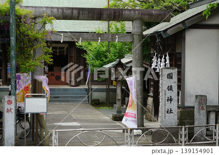 千年乃藤で有名な国領神社　4月調布793国領神社 139154901