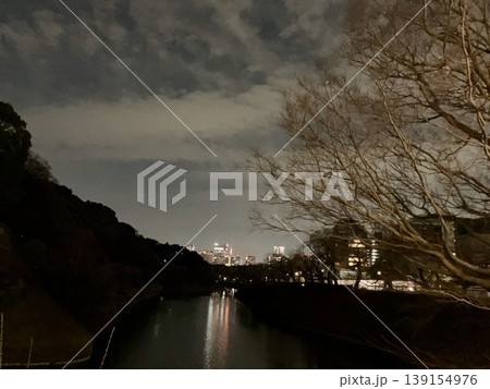 千鳥ヶ淵の夜景 千鳥ヶ淵の夜景 139154976