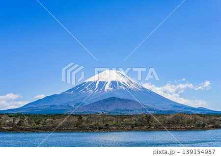 山梨県精進湖と富士山 139154987