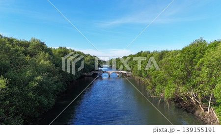 An aerial perspective captures a lush, dense mangrove forest split by a winding river, leading toward a distant urban skyline featuring white arched bridges under a vast, bright blue sky in Indonesia. An aerial perspective captures a lush, dense mangrove forest split by a winding river, leading toward a distant urban skyline featuring white arched bridges under a vast, bright blue sky in Indonesia. 139155191