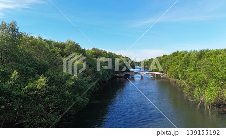 An aerial perspective captures a lush, dense mangrove forest split by a winding river, leading toward a distant urban skyline featuring white arched bridges under a vast, bright blue sky in Indonesia. An aerial perspective captures a lush, dense mangrove forest split by a winding river, leading toward a distant urban skyline featuring white arched bridges under a vast, bright blue sky in Indonesia. 139155192