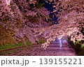 弘前城の堀端の夜桜 139155221