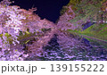 弘前城の堀端の夜桜 139155222