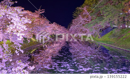 弘前城の堀端の夜桜 弘前城の堀端の夜桜 139155222
