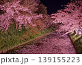 弘前城の堀端の夜桜 139155223