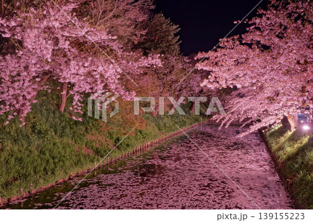 弘前城の堀端の夜桜 弘前城の堀端の夜桜 139155223