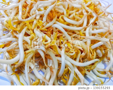 photo of fresh green bean sprouts photo of fresh green bean sprouts 139155293