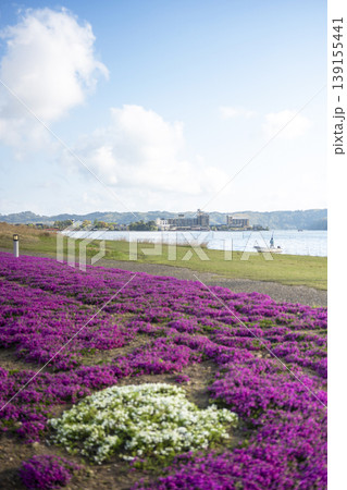 芝桜と新緑の東郷池周辺 139155441