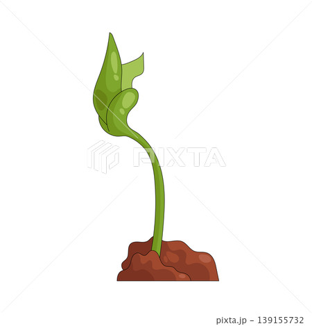 Illustration of sprout 139155732