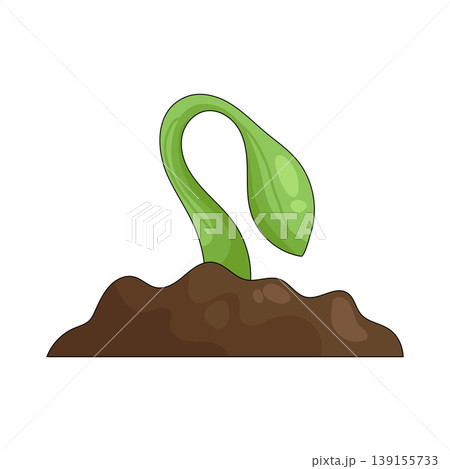 Illustration of sprout 139155733