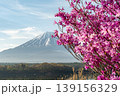 精進湖から望む富士山とミツバツツジ 139156329